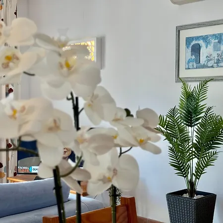 Grupo Morgado - Quinta Do Morgado - Morgado Luxury *